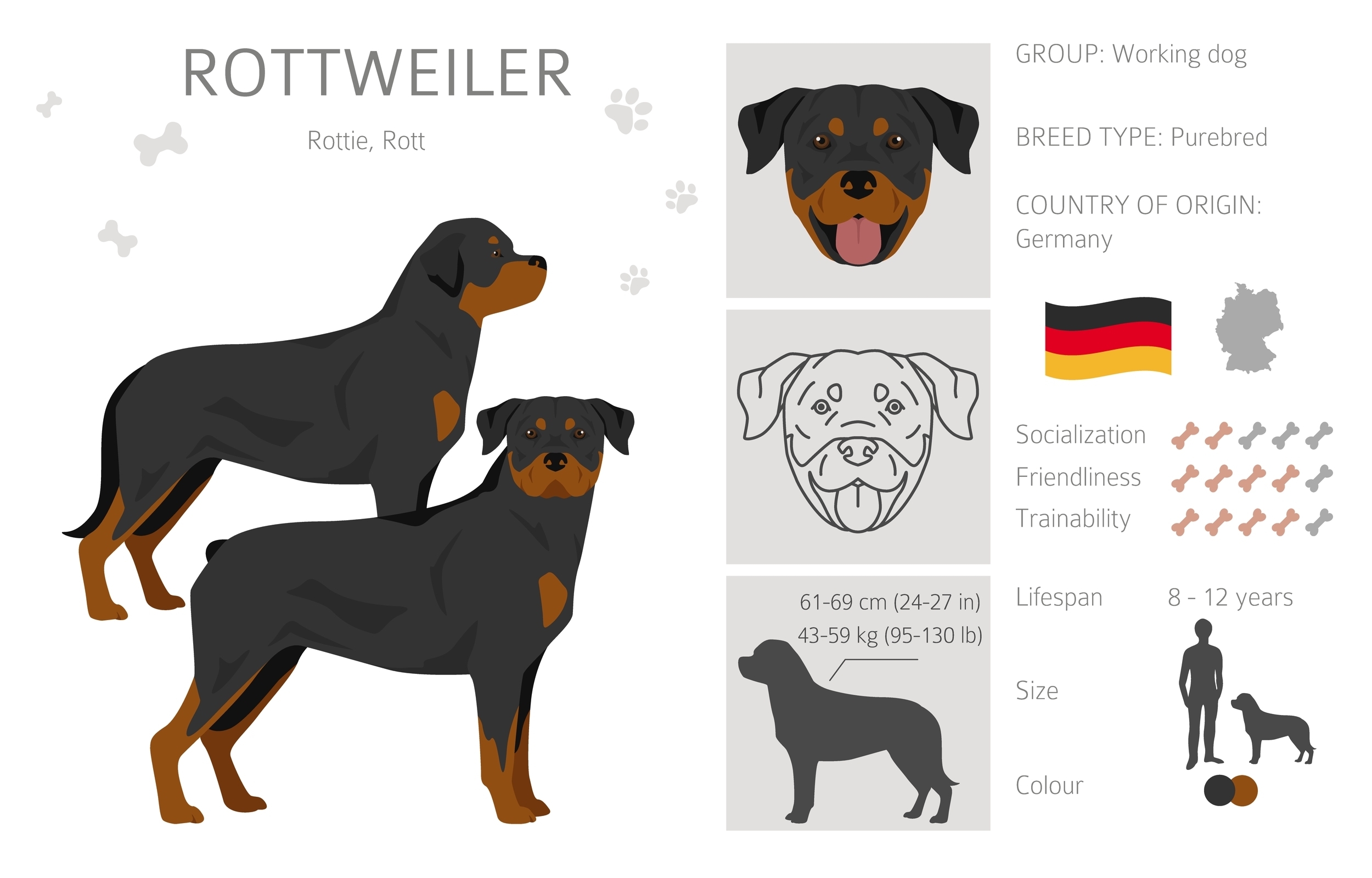Rottweiler - FurLyfe!